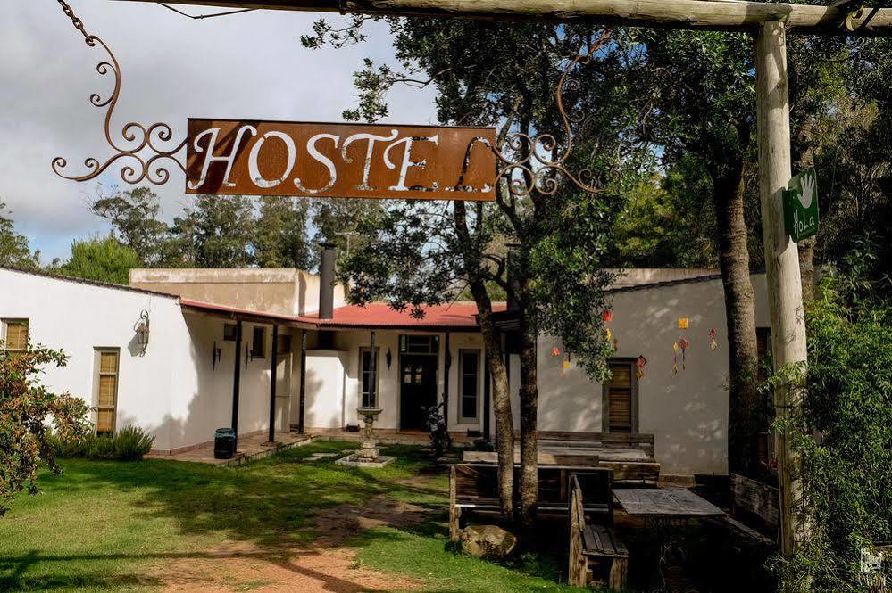 Hostel Punta Ballena Bar Punta del Este Zewnętrze zdjęcie